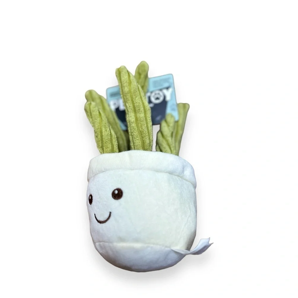 CRINKLY CATCUS PLANT DOG TOY